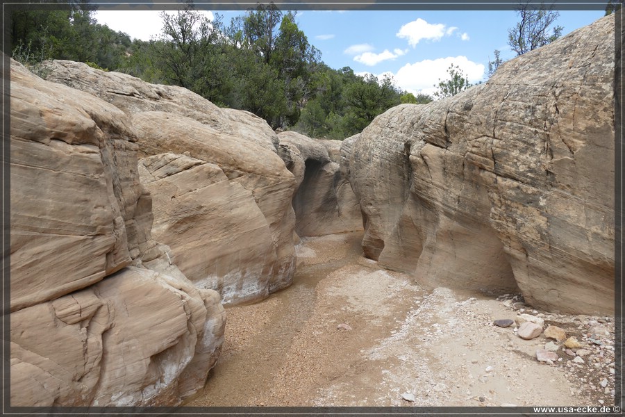 Willis_Creek_2025_011