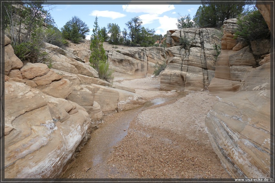 Willis_Creek_2025_013