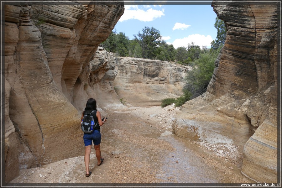 Willis_Creek_2025_014