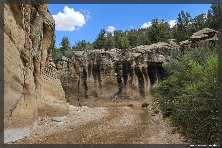 Willis_Creek_2025_015