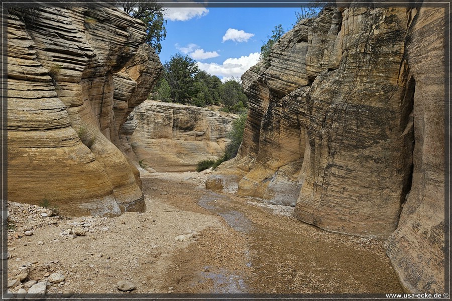 Willis_Creek_2025_016