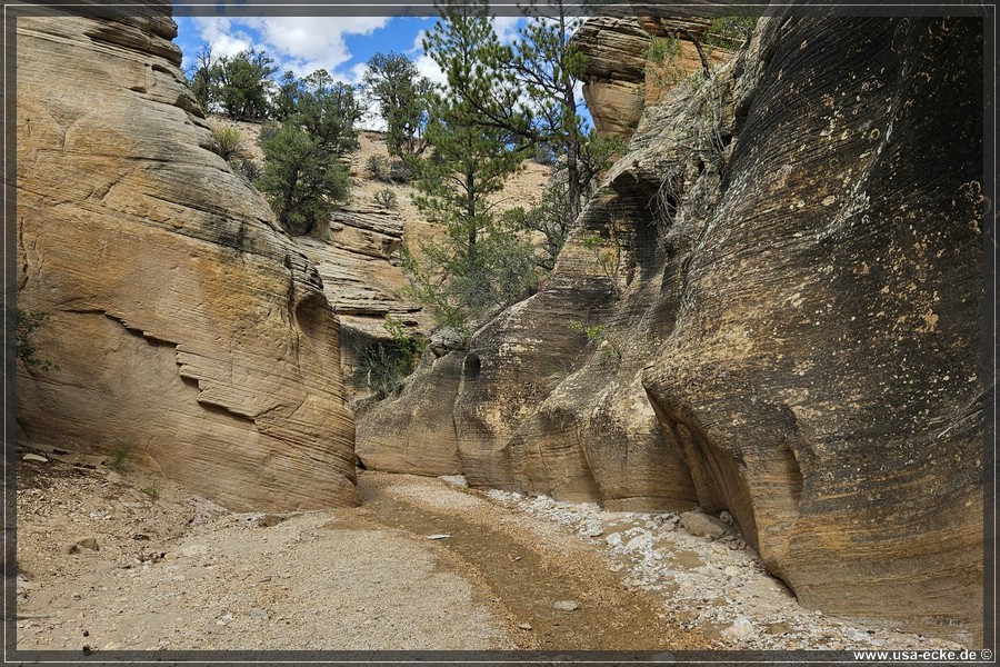 Willis_Creek_2025_017
