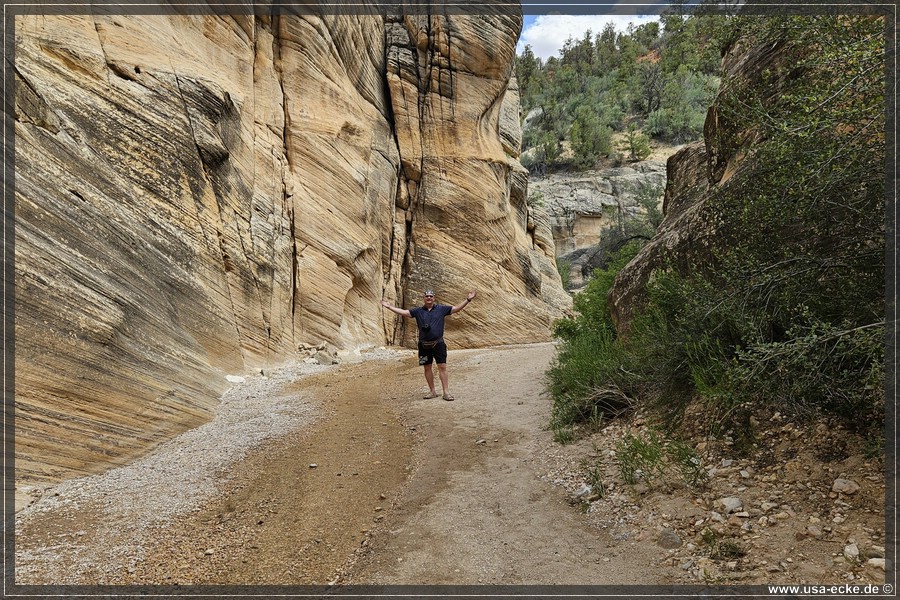 Willis_Creek_2025_018