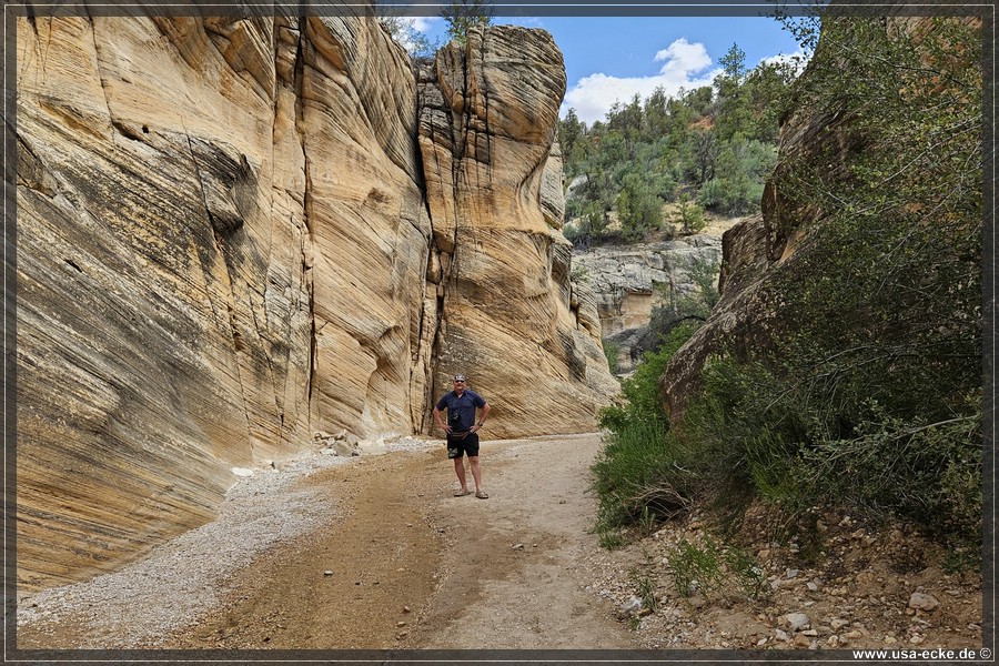 Willis_Creek_2025_019