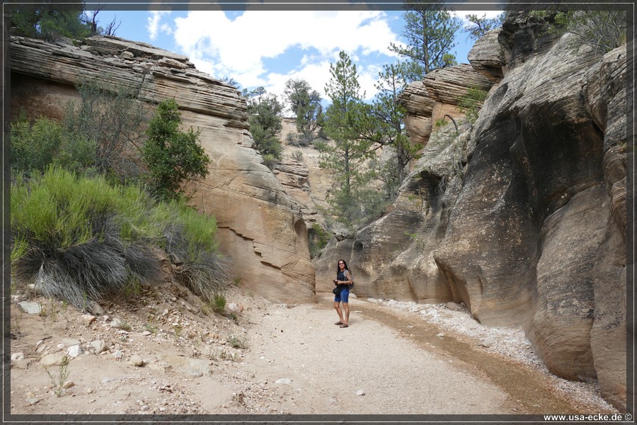 Willis_Creek_2025_020