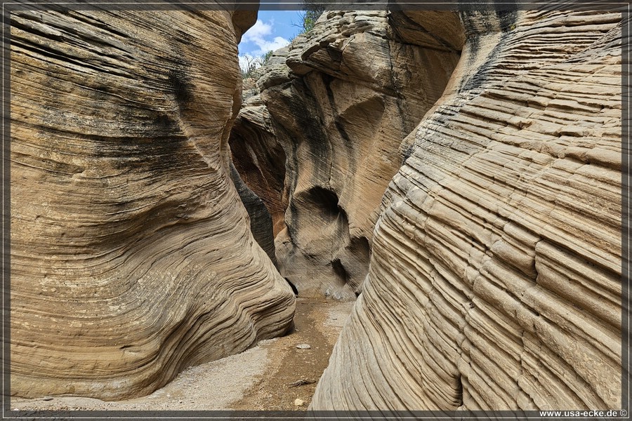 Willis_Creek_2025_021