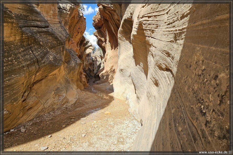 Willis_Creek_2025_022
