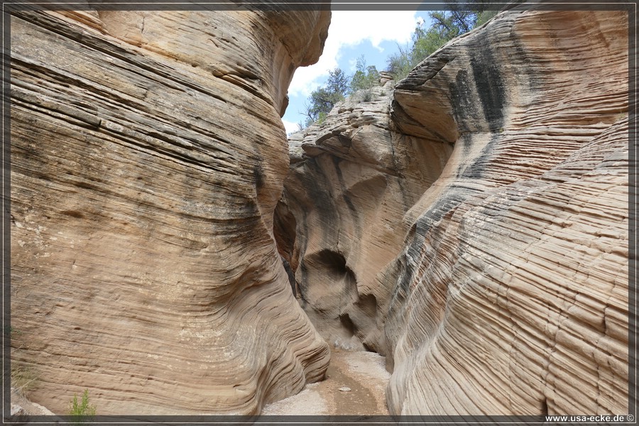 Willis_Creek_2025_023