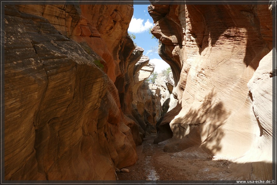 Willis_Creek_2025_024