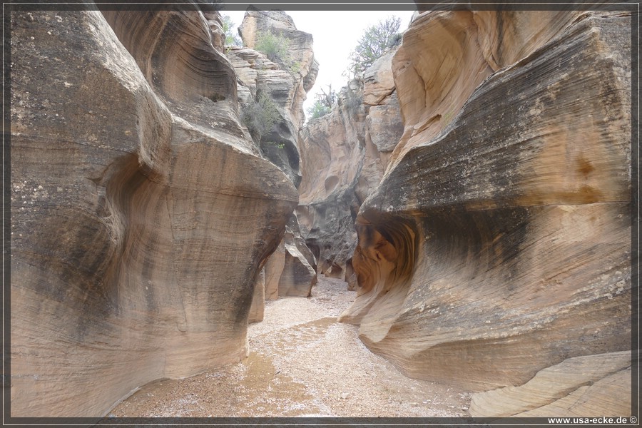 Willis_Creek_2025_025