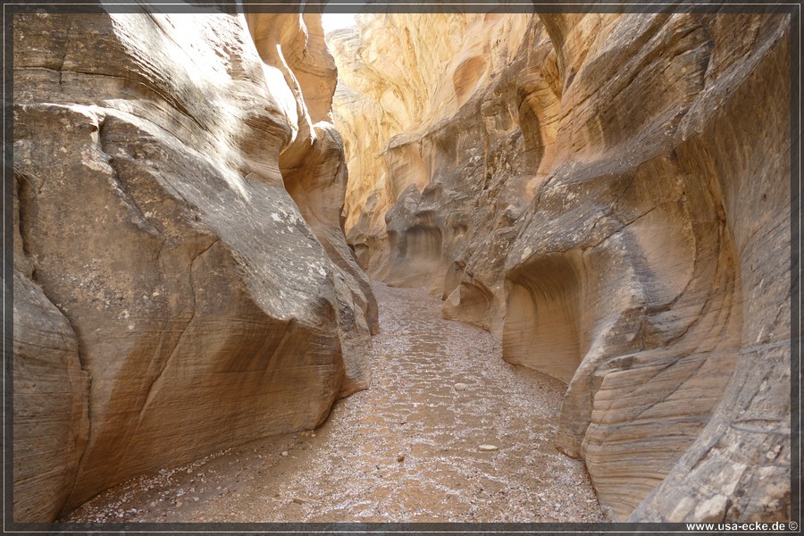 Willis_Creek_2025_026