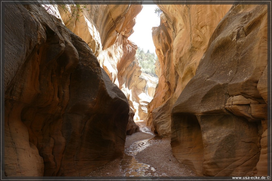 Willis_Creek_2025_028