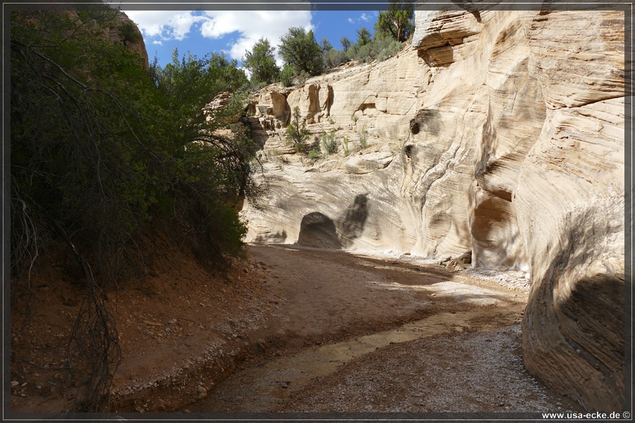 Willis_Creek_2025_029