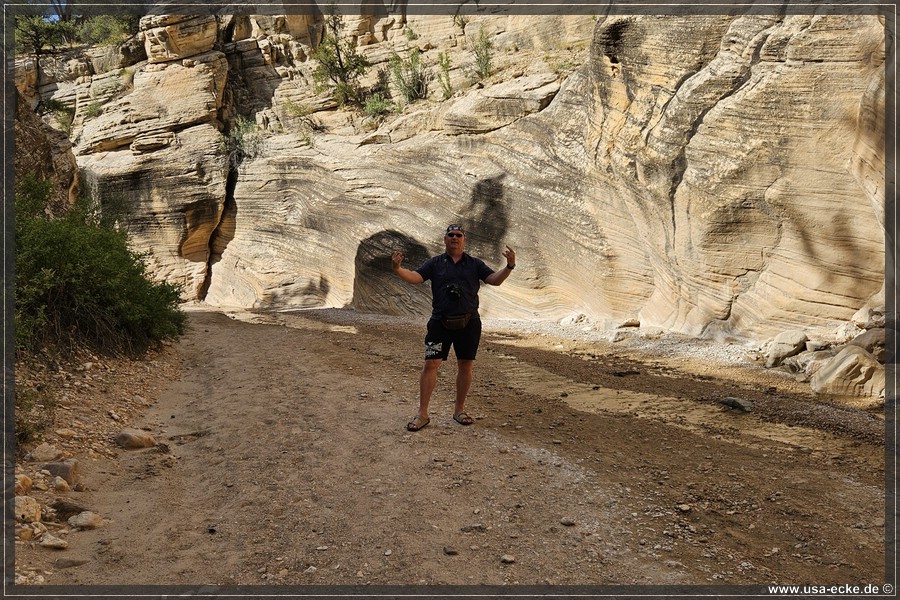 Willis_Creek_2025_030