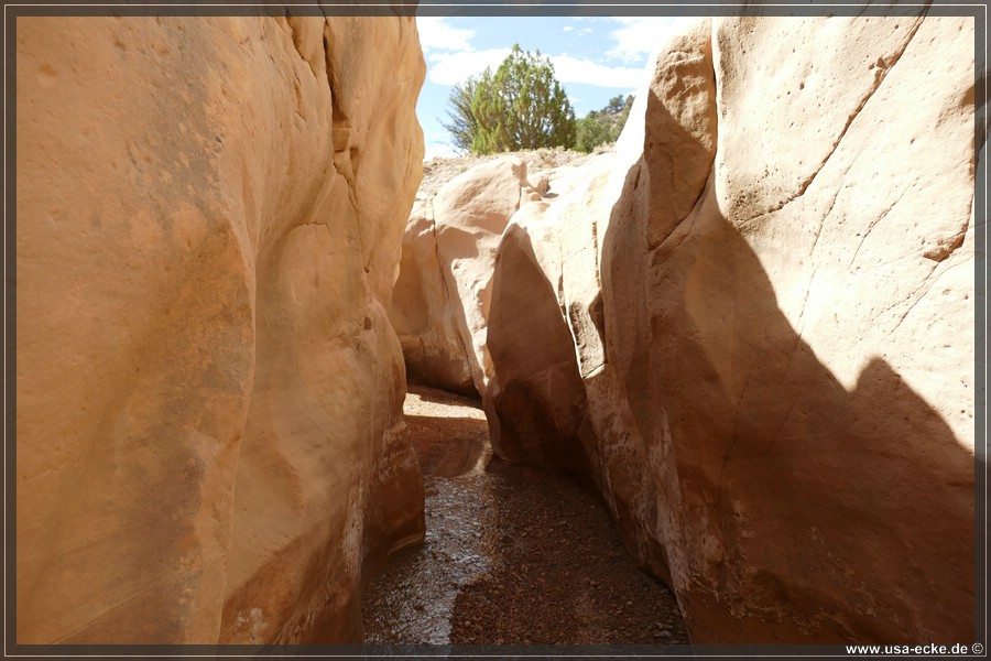 Willis_Creek_2025_032