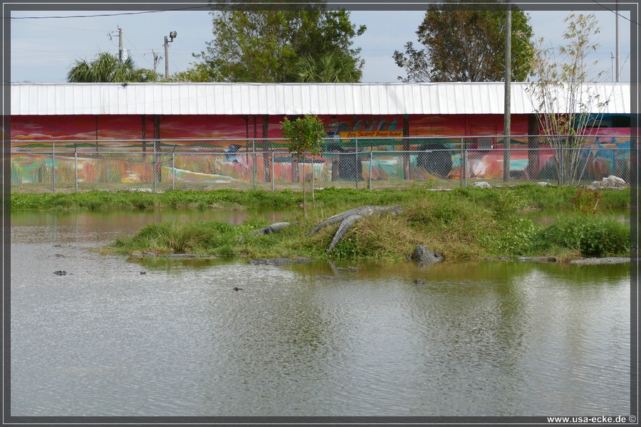 Wootens_2024_032