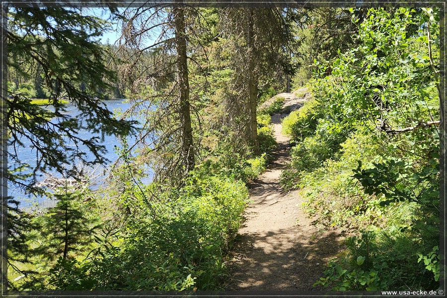 Bechler_Falls_2025_008