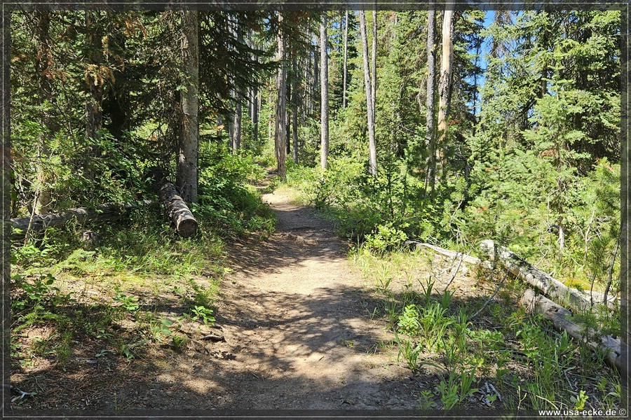Bechler_Falls_2025_018
