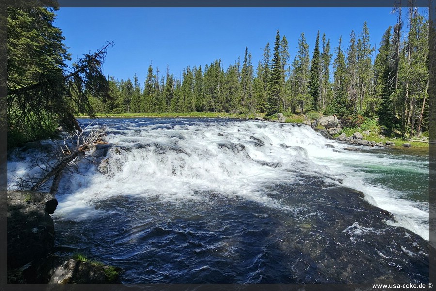 Bechler_Falls_2025_023