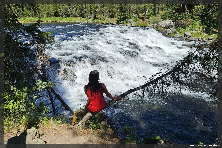 Bechler_Falls_2025_025