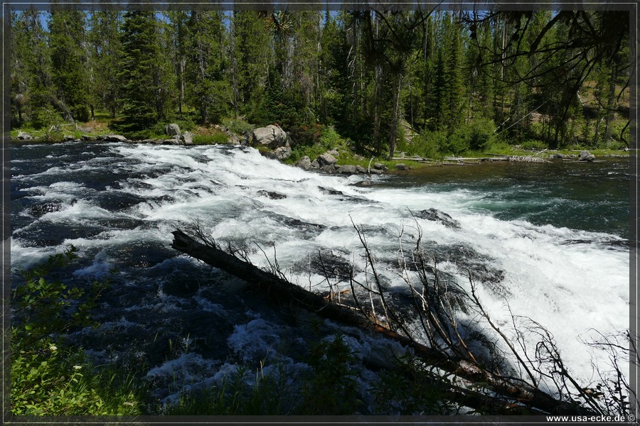 Bechler_Falls_2025_029