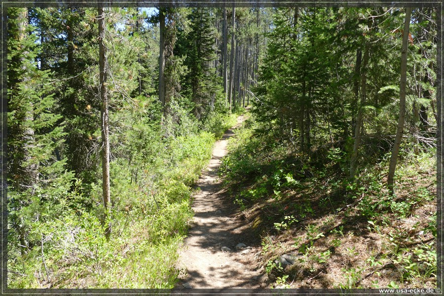 Bechler_Falls_2025_035