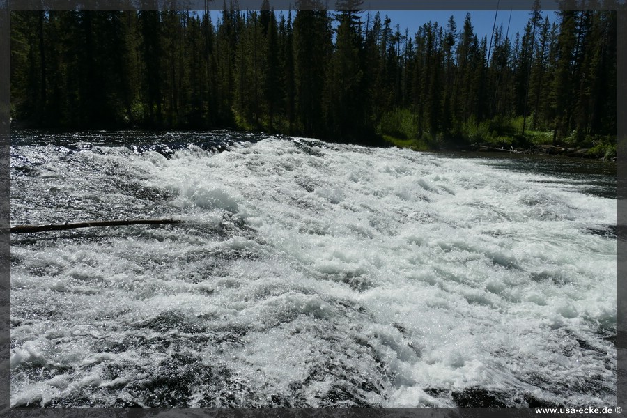 Cave_Falls_2025_011