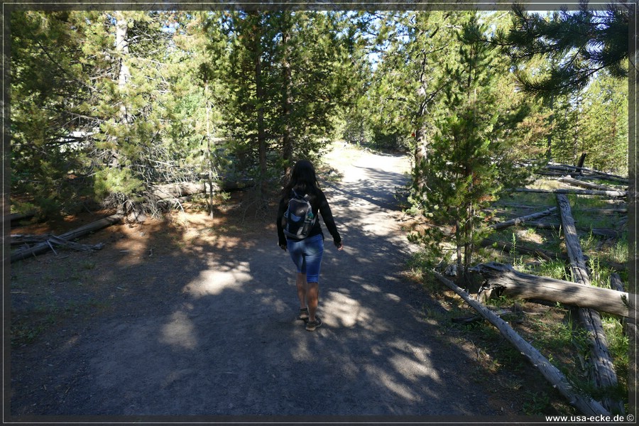 Fairy_Falls_2025_008