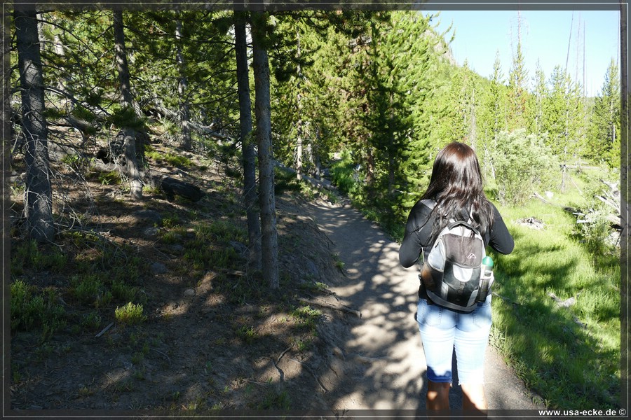 Fairy_Falls_2025_009