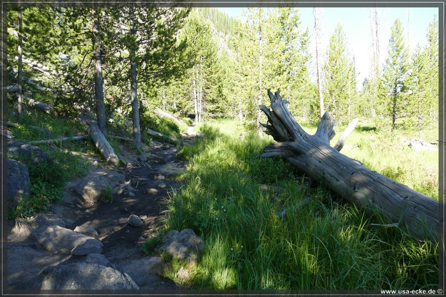 Fairy_Falls_2025_010