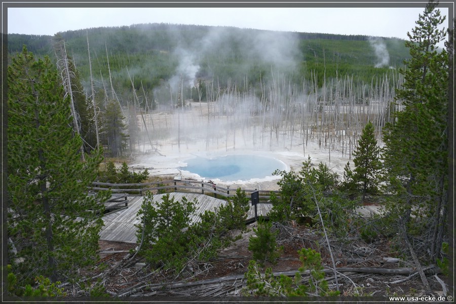 Norris_Basin_2025_010