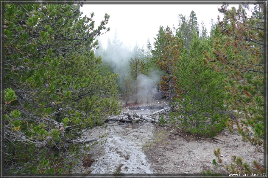 Norris_Basin_2025_012