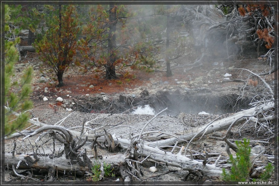 Norris_Basin_2025_013