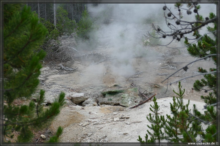 Norris_Basin_2025_026