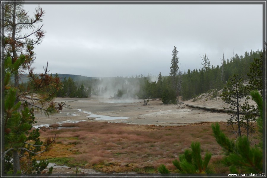Norris_Basin_2025_040