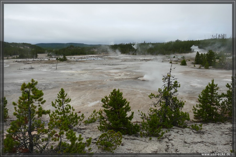 Norris_Basin_2025_052