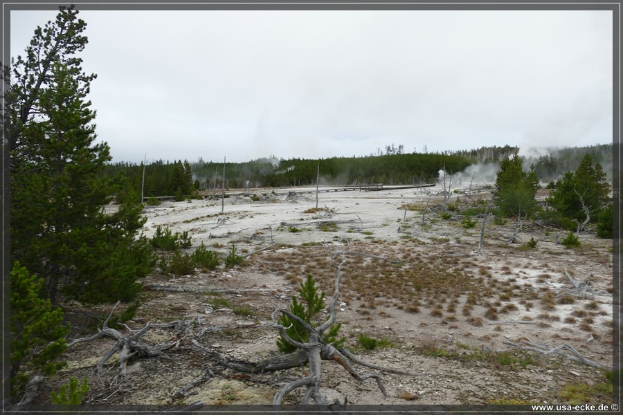 Norris_Basin_2025_054