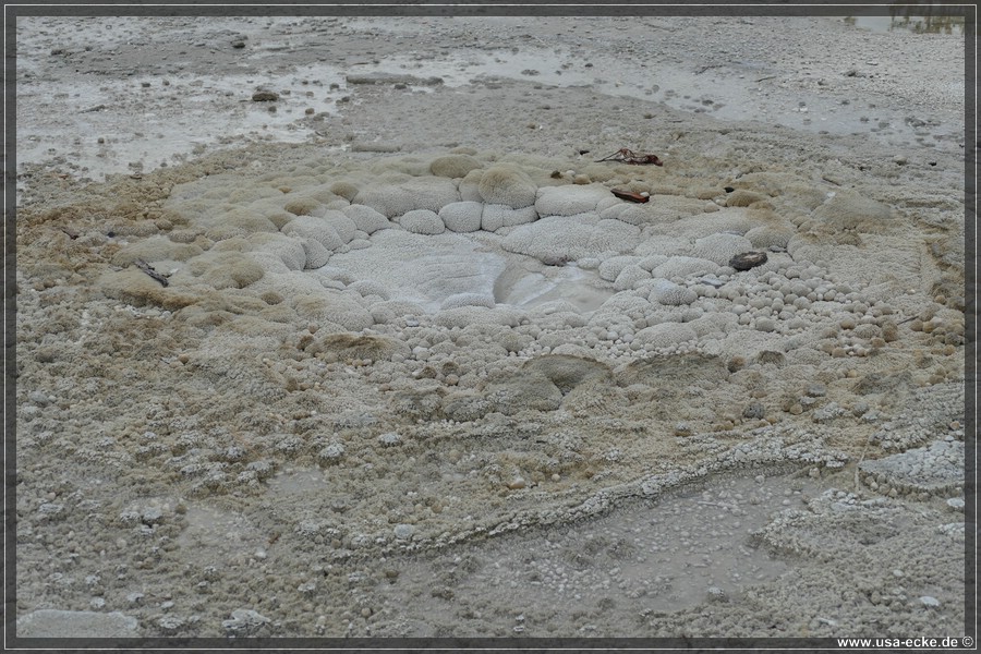 Norris_Basin_2025_066