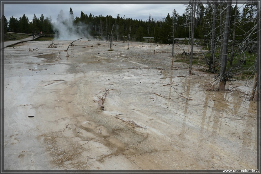 YNP_Paintpots2023_006