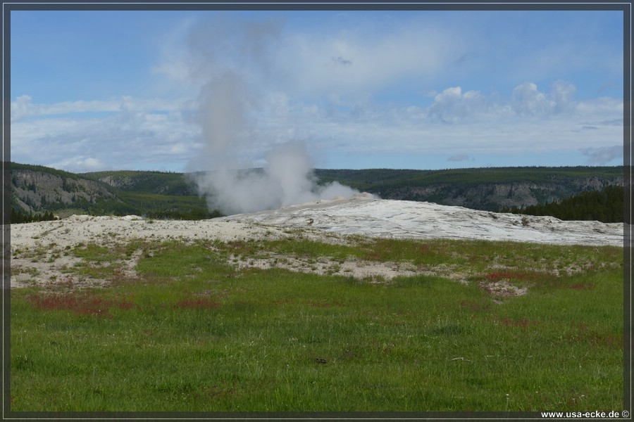 YNP_Upper2023_006