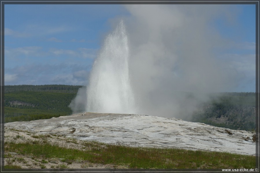 YNP_Upper2023_010