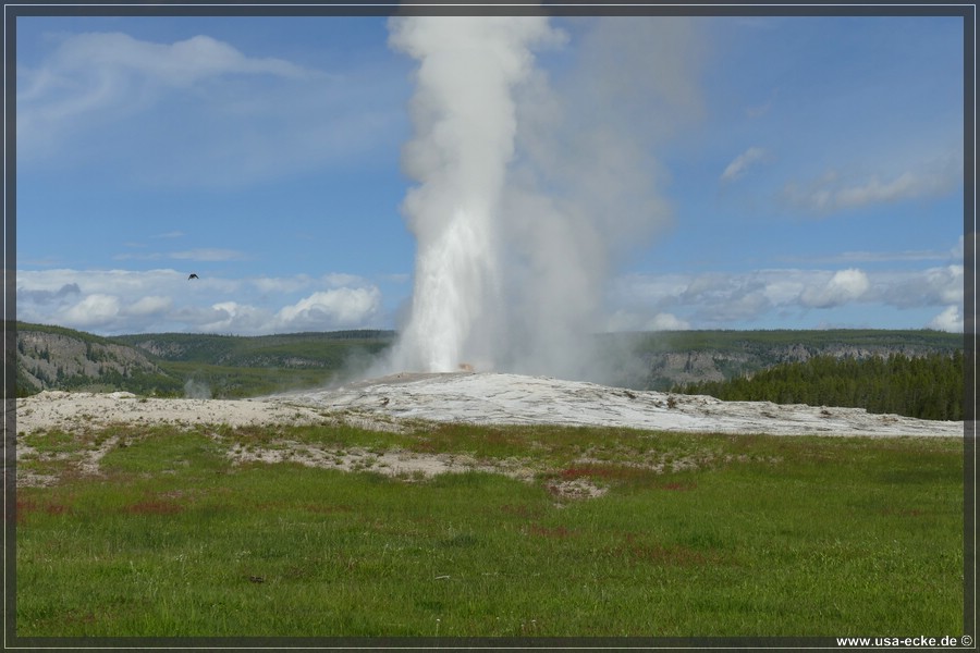 YNP_Upper2023_016