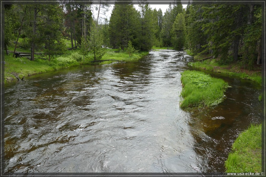 YNP_Upper2023_021