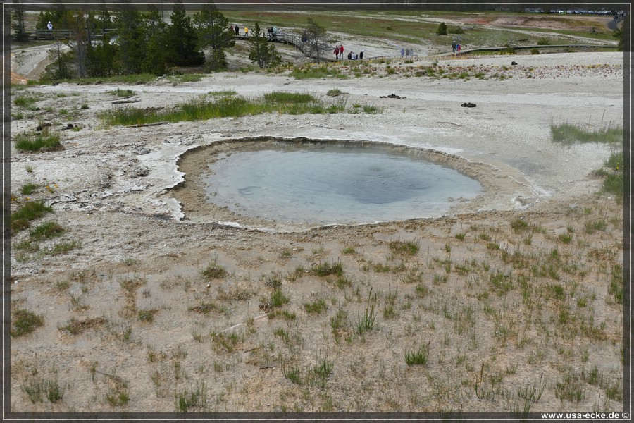 YNP_Upper2023_025