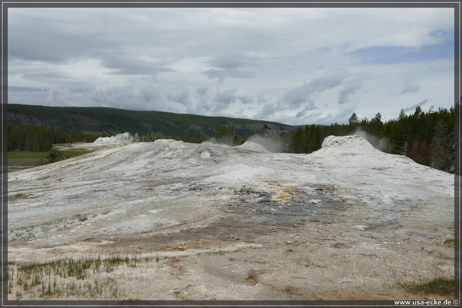 YNP_Upper2023_039