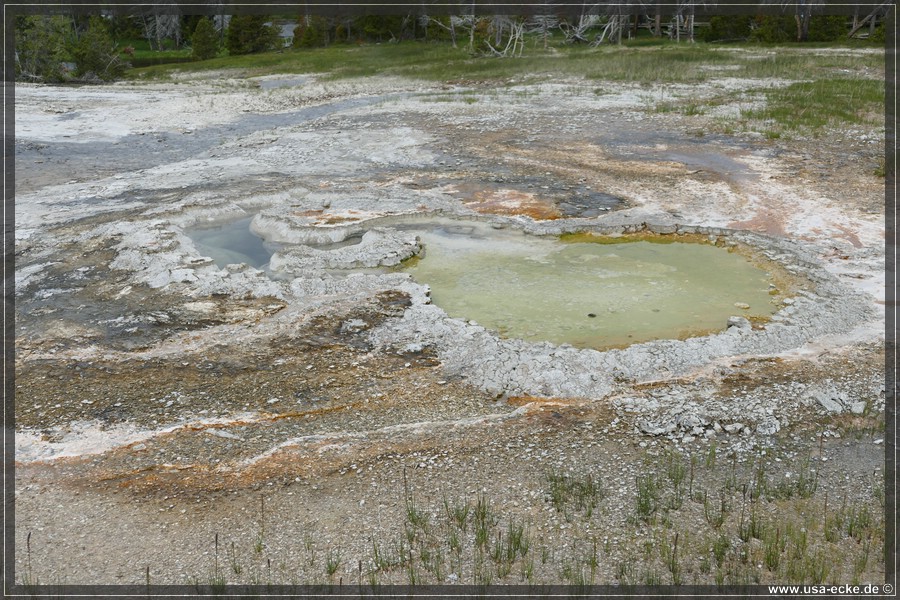 YNP_Upper2023_042