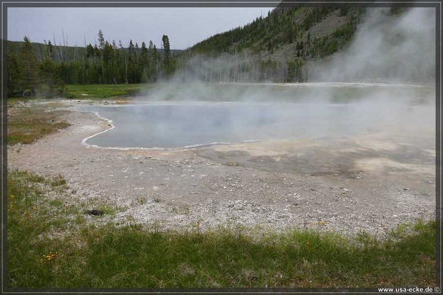 YNP_Upper2023_055