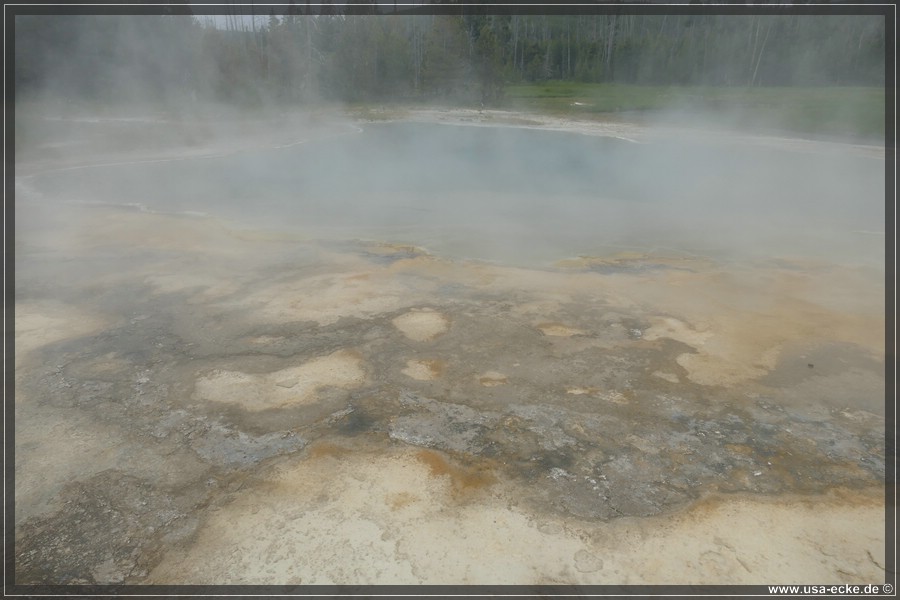 YNP_Upper2023_057
