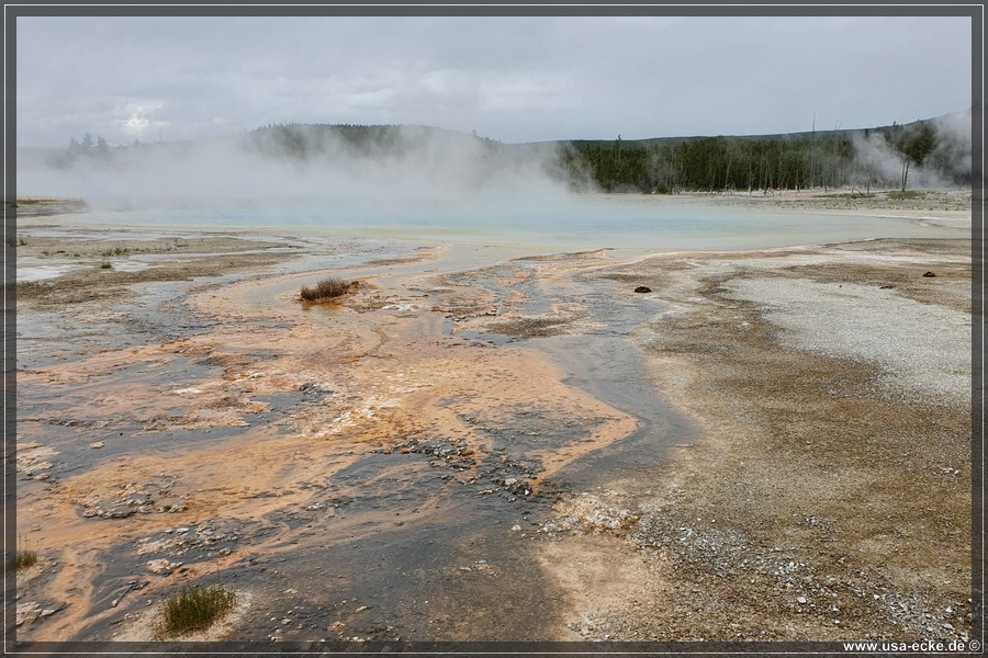 YNP_Upper2023_065