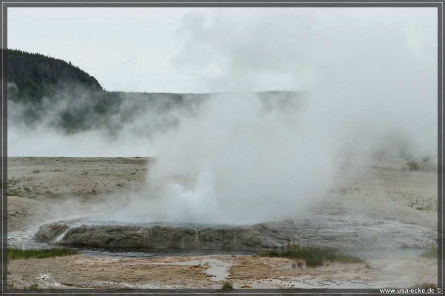 YNP_Upper2023_066